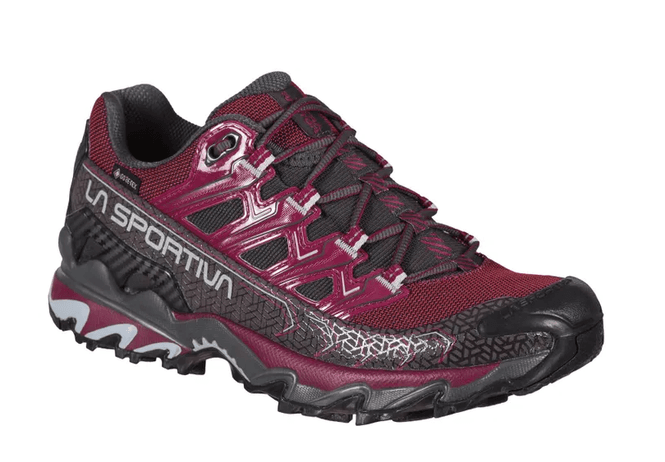 Hovedbilde Ultra Raptor II GTX W's Hikingsko