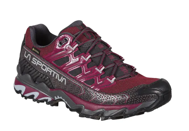Hovedbilde Ultra Raptor II GTX W's Hikingsko