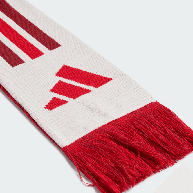 Hovedbilde AFC SCARF