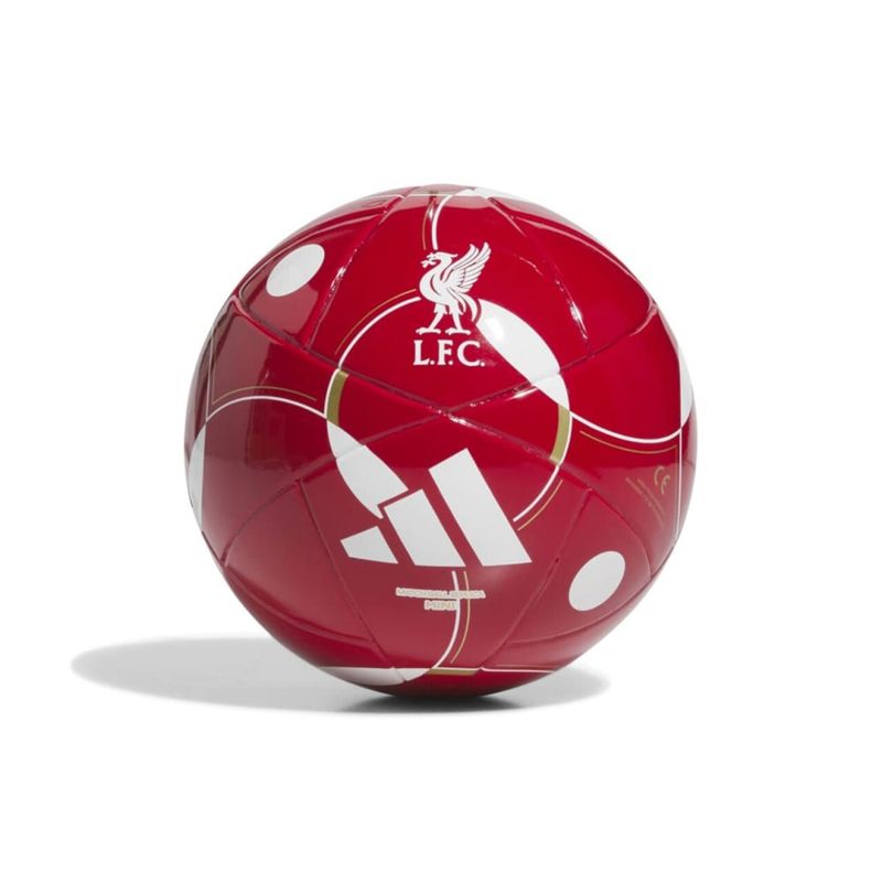 LFC MINI HOME